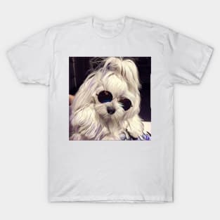 Maltese Coco the model, maltese dog, maltese, maltese puppy, dog model, white dog, dog products T-Shirt